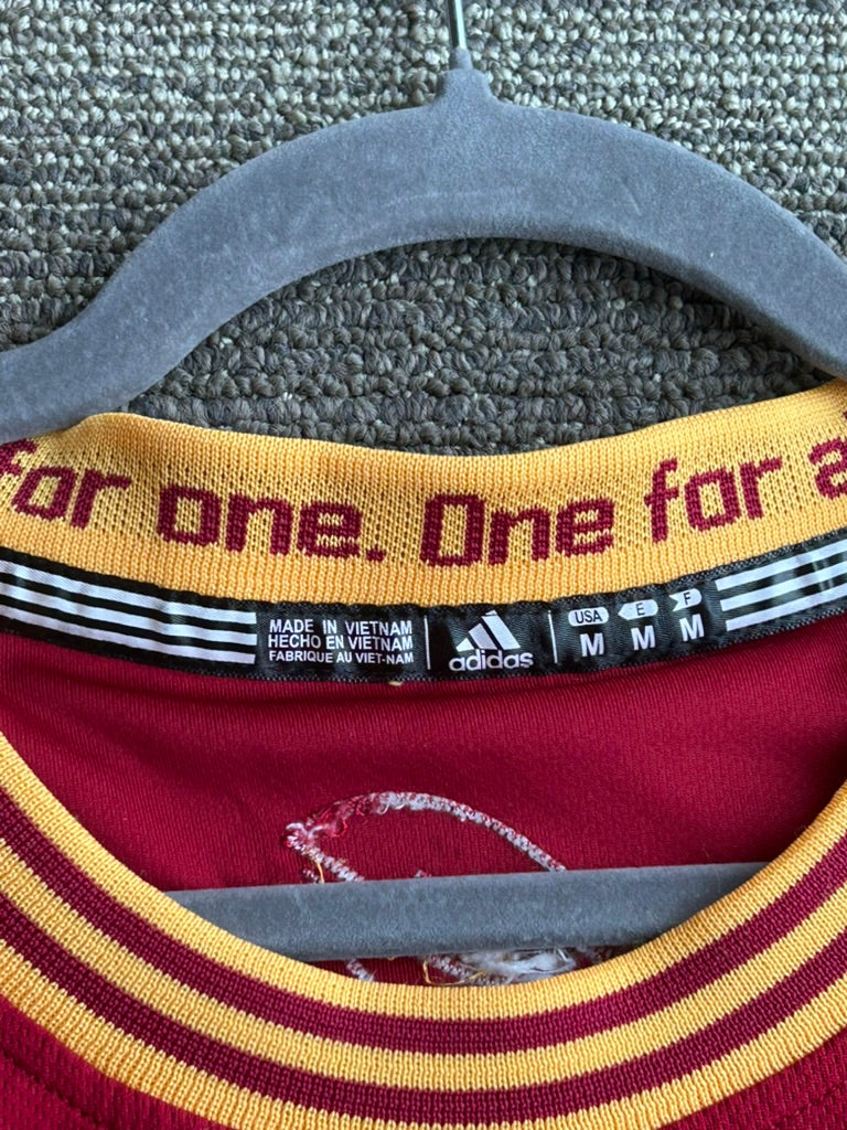 Lebron James Adidas Jersey Cleveland Cavaliers Mens Medium NBA Basketball Red 23